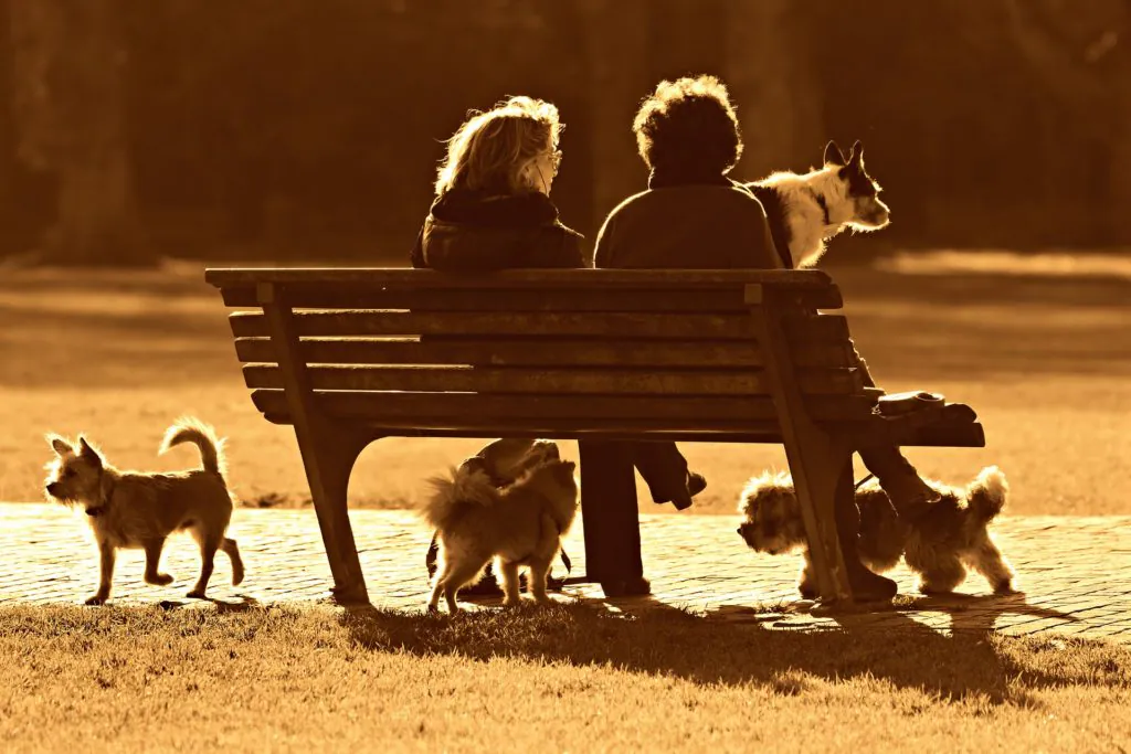 11 Life-Changing Ways To Improve Your Mental Health