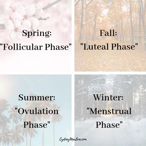the phases of the menstrual cycle