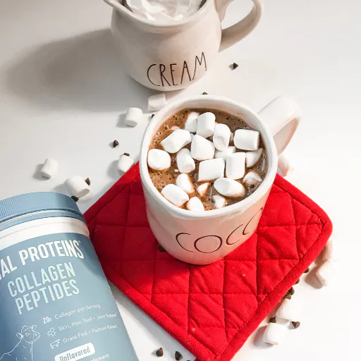 collagen hot chocolate recipe