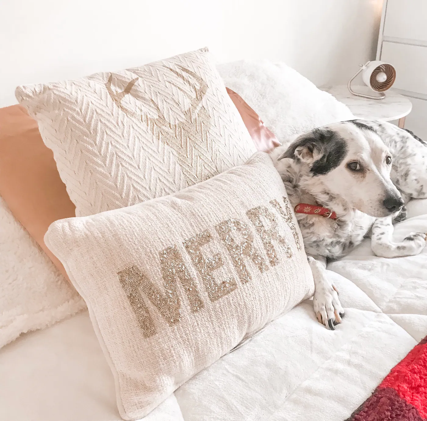 5 Friday favorites for December