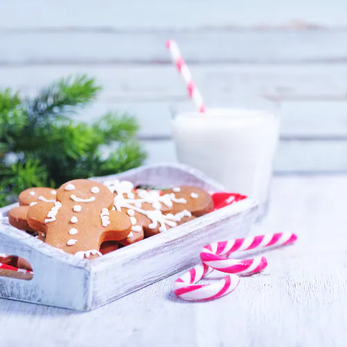 healthy gingerbread cookies