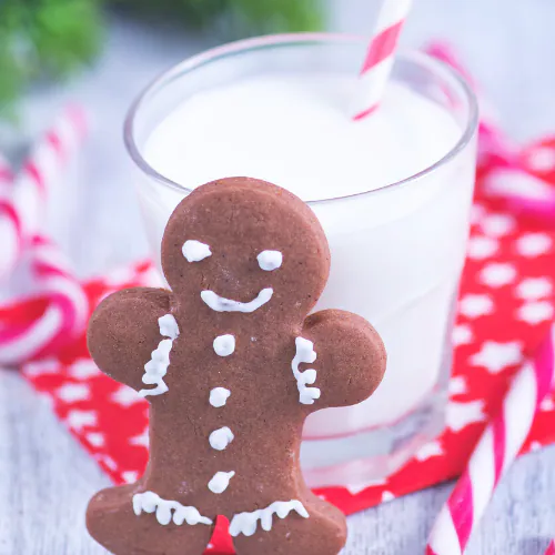 healthy gingerbread cookies