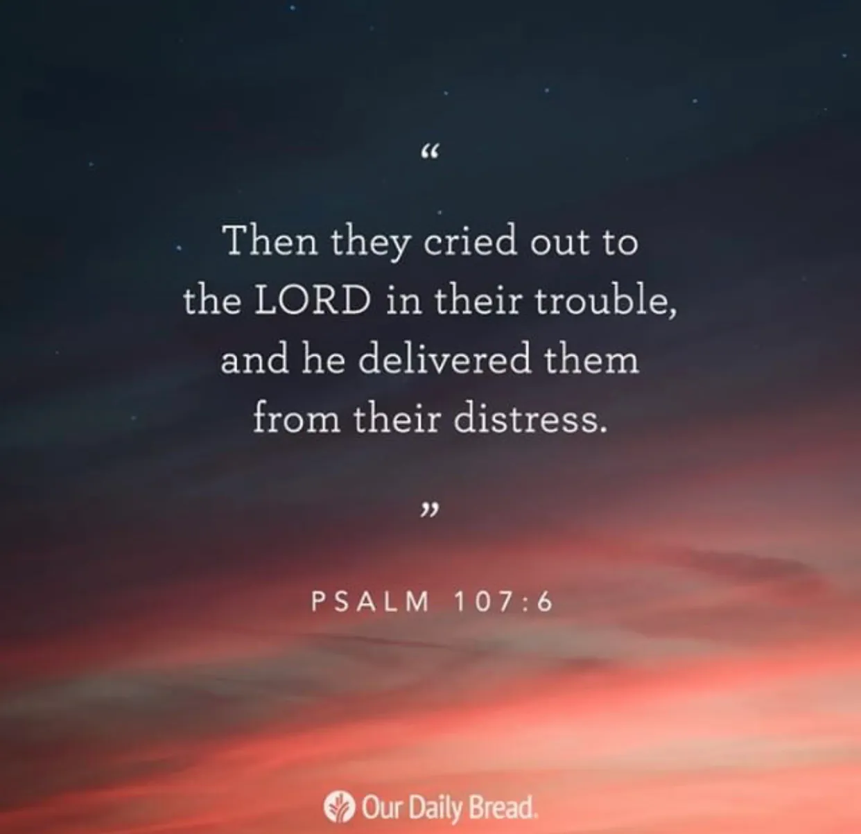 bible verse