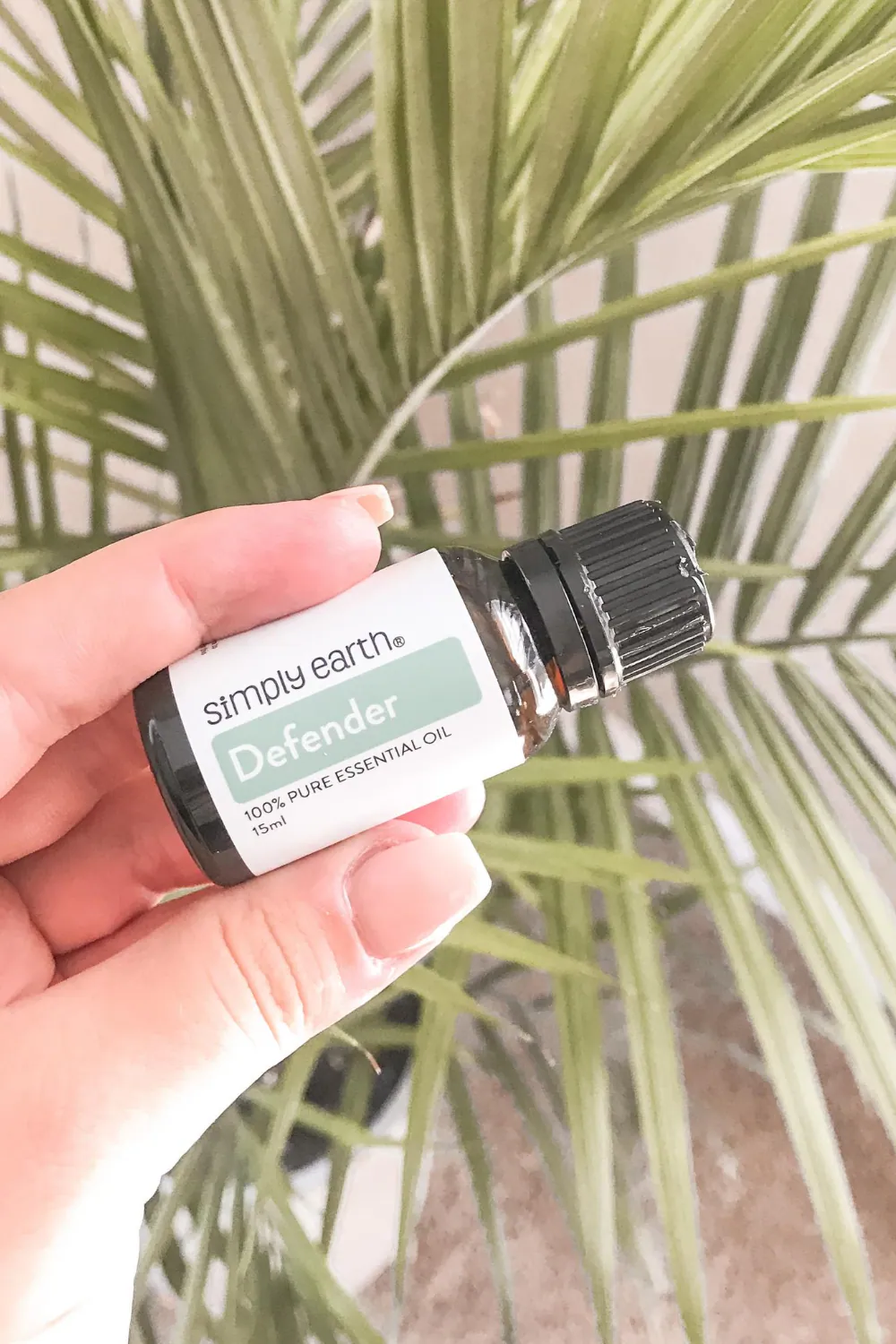 Simply Earth September 2020 Box