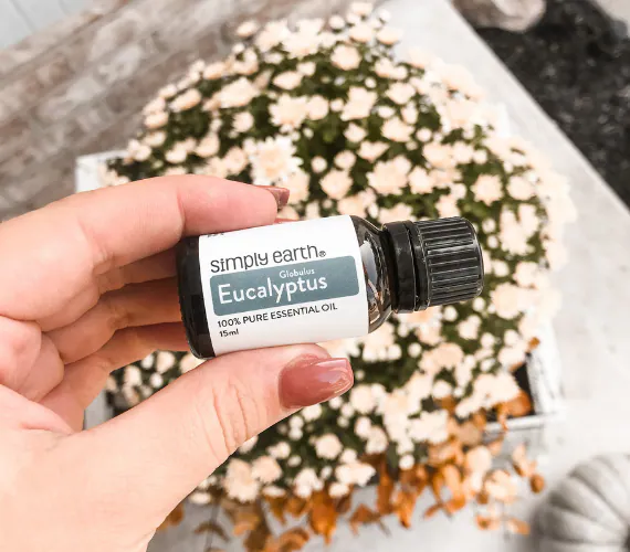 simply earth October 2020 box