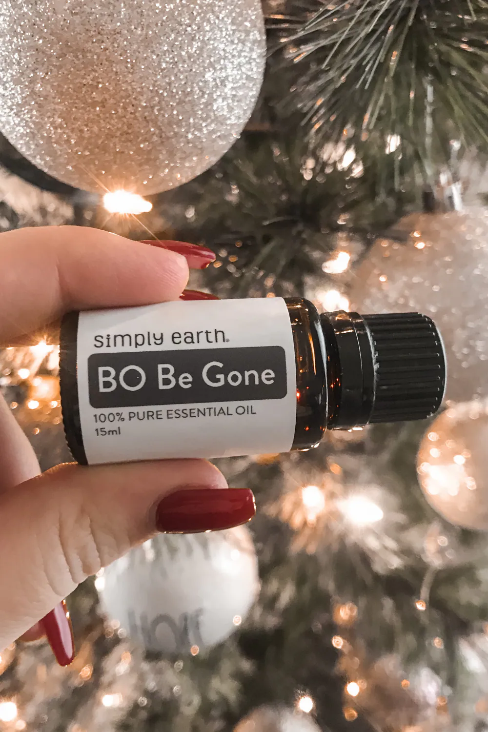 BO Be Gone Simply Earth Essential Oils January 2021 Box Review 
