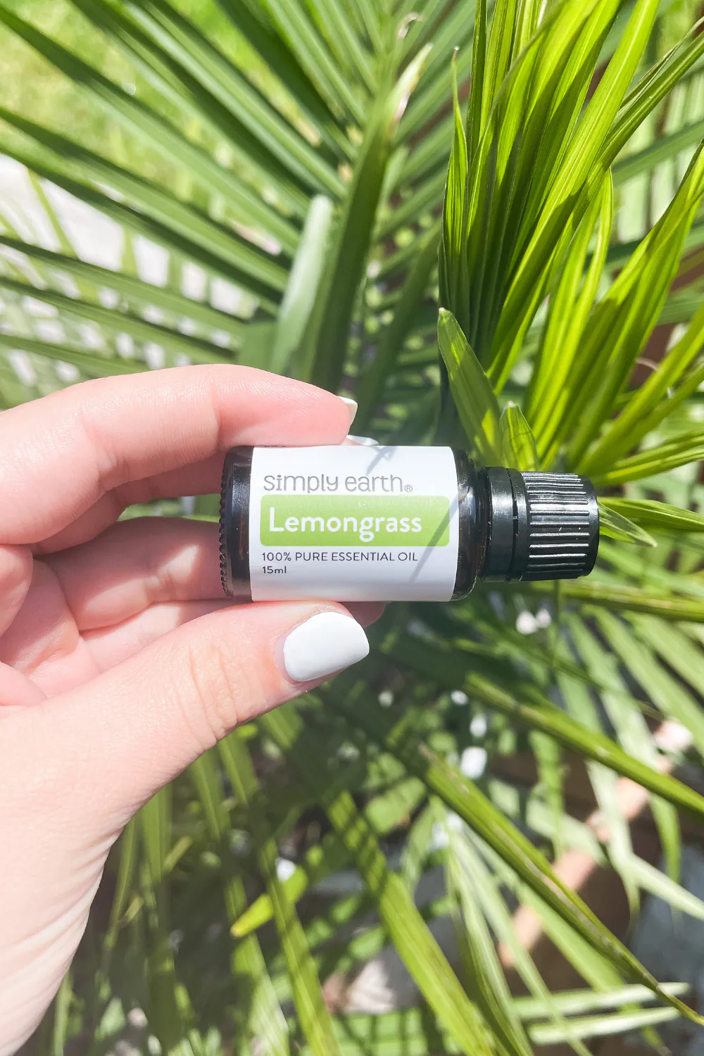 lemongrass essential oil