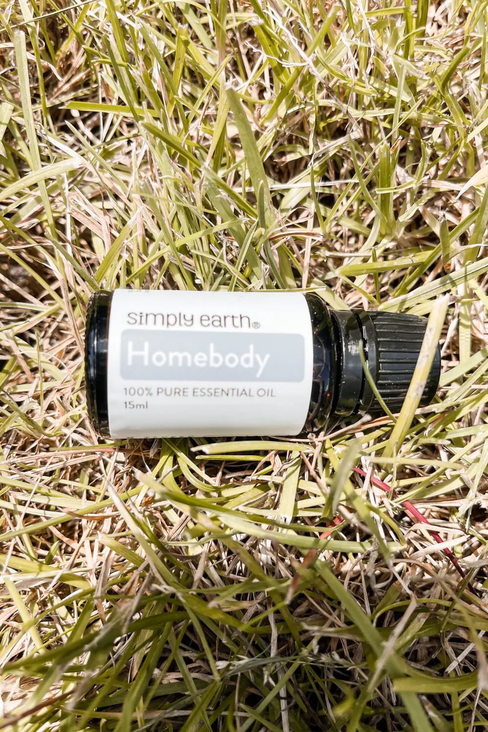 homebody blend