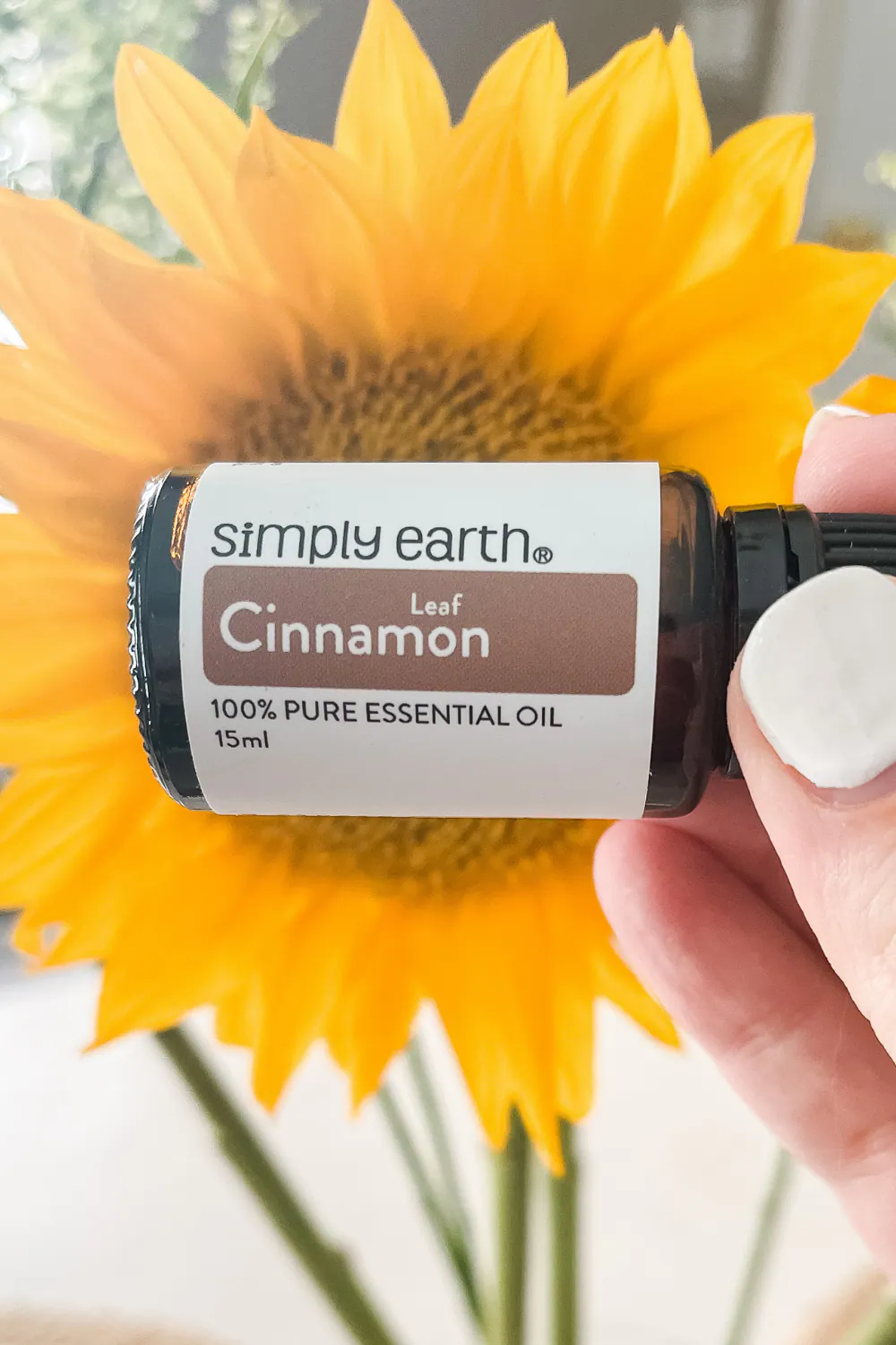 cinnamon essential oil